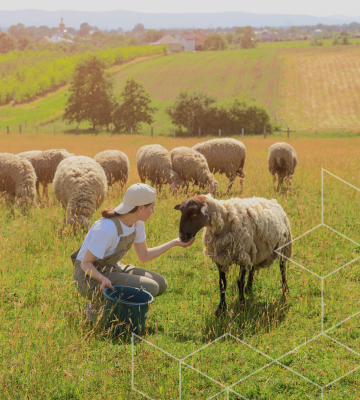 Veterinary Diagnostics and Food Safety